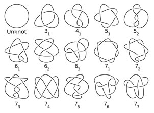 knot theory 7