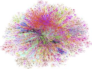 Network Science