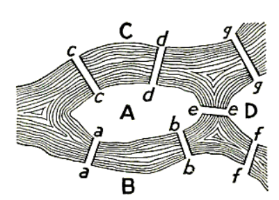 euler problem blank.PNG
